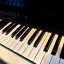 Native instruments komplete A61