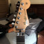 Fender Standard Strato Plus Top (Floyd Rose Tremolo)