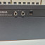 Yamaha THR30II Wireless + Line 6 Relay G10