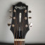 Epiphone masterbilt DR400 acustica