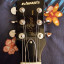 Guitarra Edwards E-KT-125S/QM