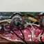 Telecaster tokai breezysound pink paisley
