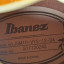 Ibanez JSM10-VYS John Scofield