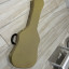 Fender Thermometer case