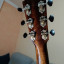 Fender Paramount Deluxe  PM-1