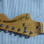 FENDER Classic 70's Series STRATOCASTER (RESERVADA)