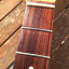 Mastil Squier Stratocaster