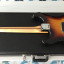 Fender Stratocaster Deluxe RW 2TSB