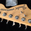 Fender Stratocaster Deluxe RW 2TSB