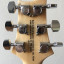 Guitarra PRS SE Custom 22 Semi Hollow