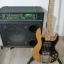 Bajo Americano Peavey T40 CAMBIO