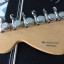 Fender Stratocaster Deluxe RW 2TSB