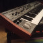 Behringer Deepmind 12