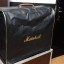 Marshall AS100D acústica con flight case