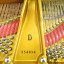 Piano STEINWAY AND SONS , Modelo D. 1960