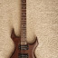 Bc Rich Warlock