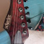 Schecter reaper 6 elite