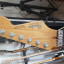 Fender Strat Plus Delux año 87