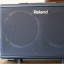 Amplificador Roland AC-40