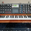 Moog Voyager Signature Edition