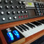Moog Voyager Signature Edition