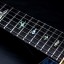 RESERVADA PRS Artist Pack Custom 22 "AAAA+ Quilt Top +Whale Blue