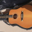 Guitarra acústica Alhambra W Luthier