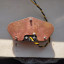 Pastilla puente Fender Telecaster Japan