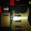 Set Pickguard Fender Stratocaster Gold anodizado + tapa trasera