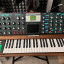 Minimoog Voyager Sintetizador Electric Blue Edition