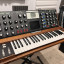 Minimoog Voyager Sintetizador Electric Blue Edition