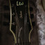 Cambio LTD EC-1000 por guitarra acústica, también valoro la venta