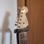Fender american stratocaster standard