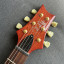 PRS SE Paul's Guitar