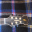 Guitarra eléctrica de lutier TORO - modelo Bardo