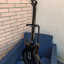 -RESERVADA-PRS Santana SE 2014 puente Vega-trem