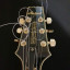 Cambio guitarra Japo tipo 335