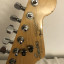 Squier Stratocaster Mij E Series