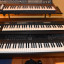 Organo Roland VK-7