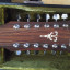 Guitarra Acustica Ibanez 12 cuerdas, mod V312