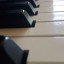 Roland RD800