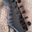 Fernandes Brad Gillis Signature de 1984