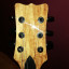 Guitarra Sunsmile SLPM 390