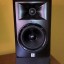 JBL LSR 305 Monitores Activos + Cables Jack Stereo