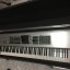 Roland Fantom X8 + flightcase