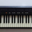 Roland A 30 (teclado controlador midi)