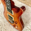 PRS SE Floyd Custom 24