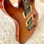 PRS SE Floyd Custom 24