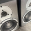 Monitores Dynaudio DBM50