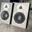Monitores Dynaudio DBM50